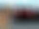 F1 star in freak incident with wild animal at Dutch GP