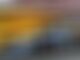 Alex Albon F1 incident sparks PETA calls for wildlife safety measures
