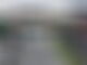 F1 Dutch GP red-flagged after massive Max Verstappen crash